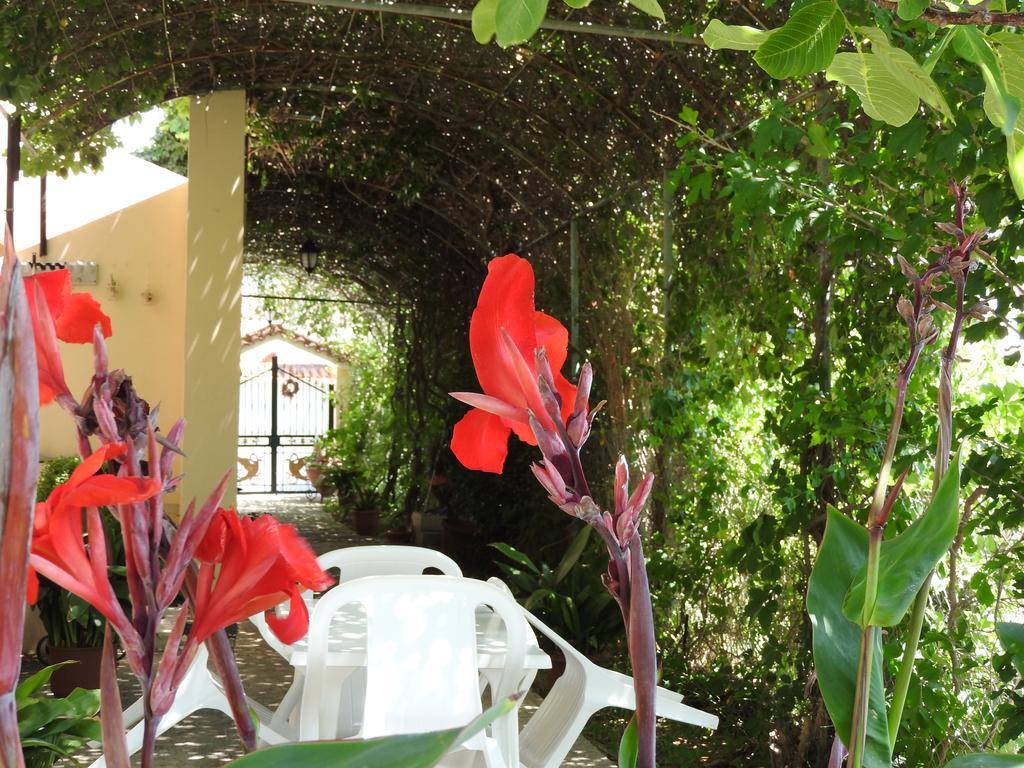 Skala Eresos Paradise Studios Skála Eresoú Extérieur photo